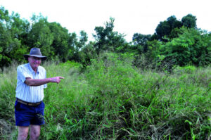Ongoing issue of overgrown grass on private property