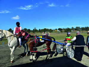 NAIDOC week celebrated at the Marburg Races