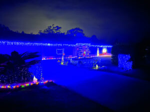 Houses dazzle in festive Christmas lights