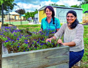 New garden belongs to everyone
