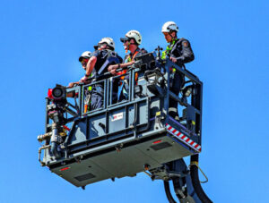 Training views and koala rescues