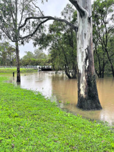 Wet weather and dark skies return