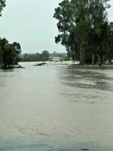 Rosewood firie in mercy mission to the Far North