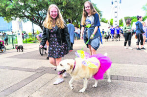 End of RSPCA fundraiser as economy bites