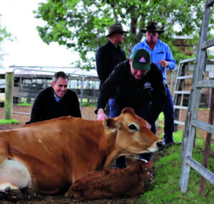 Federal Member for Blair Shayne Neumann visits local farmer