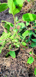 A walk through the Purga Nature Reserve