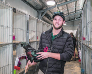 Poultry club membership surges