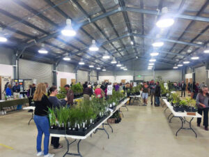 Native Plant sale returns to Rosewood for the 10th year