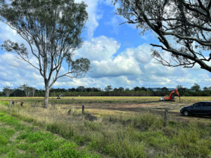 Regeneration program on former farmland