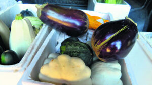 Fruit and Veg section a family tradition at Marburg Show