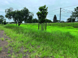 Wet weather provides multiple challenges for Council