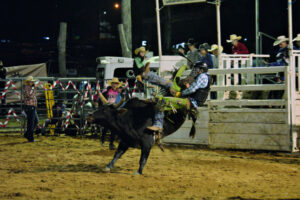 “Bulls are born to buck” – bull ride a feature of Rosewood Show’s Friday night