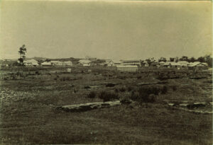 OUR HISTORY – Early growth by rail and timber