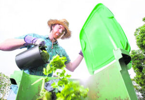 Garden organics bin rollout for July