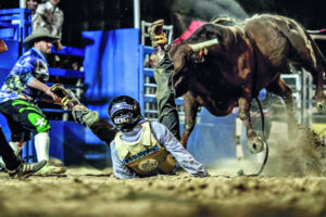 Bull riding Rosewood man loves his sport