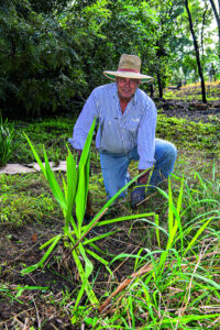 Post wet weather clean up at Mason’s Gully