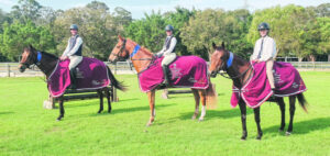 State success gives Rosewood club major boost