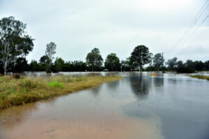 Extraordinary rainfall total for May