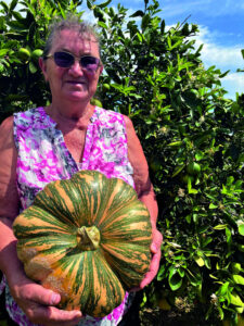 One seed leads to record pumpkin