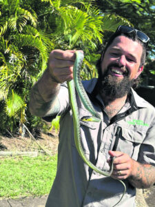 Snake season slithers into Ipswich backyards