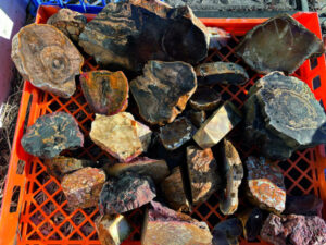 Fascinating finds on local property