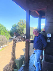 On safari in luxury … in Australia