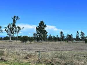 Farmers encouraged to prepare for El Nino