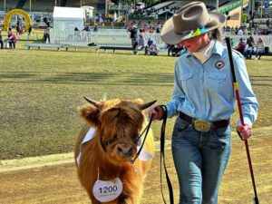 Highland success from Rosewood to Ekka