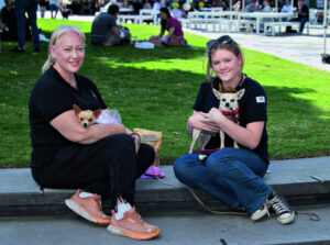 Tail-wagging good time at Dog day out