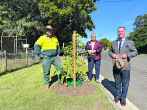 Tree plantings to help green Rosewood