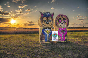 Kalbar’s big day out on again