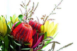 Poetry Corner – Thank you Mum