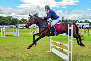 Horses always pull a crowd