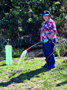 Putting on the gloves for community planting day