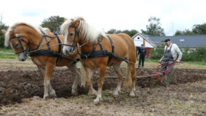 Poetry Corner – Hands on the Plough, Then and Now