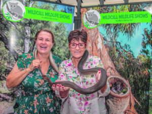 Native plant drawcard to Rosewood Showground