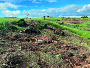 Marburg water salinity issues addressed
