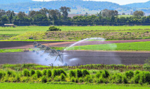 Agricultural Expo designed as a destination event for everyone