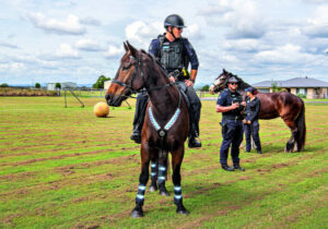 Ashwell’s adopted cop and friend make a lasting impression