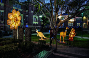 City lights up with colour and culture