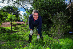 Back to nature, Rosewood scrub work done by volunteers