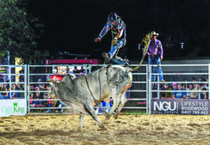 A Walk on the Wild Side