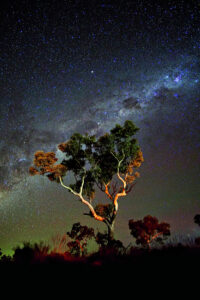 Autumn nature experiences from Rosewood to Flinders