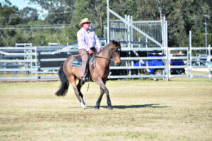 Presentation and horse skills challenge