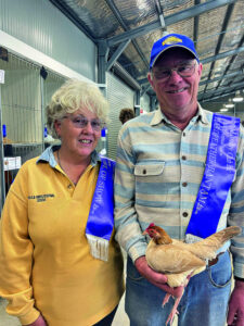 Rosewood’s best poultry on show