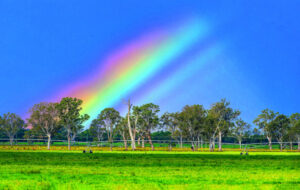 Bright, brief, spectacular