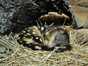 Little Snappers show off photography skills