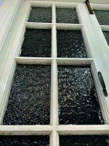 Ongoing wet weather brings unwanted mould