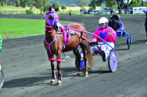 Young mini trots star selected for the harness ‘race of races’