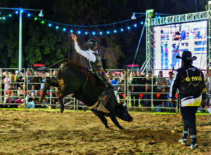 Show rolls out a world of entertainment